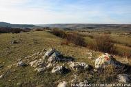 Красна Зоря з panoramio.com