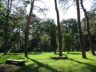 Зелений Гай з panoramio.com