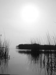 Нова Некрасівка з panoramio.com