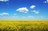 Визирка з panoramio.com