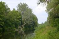 Залиман з panoramio.com
