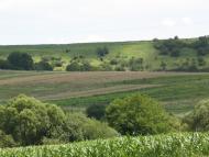 Пуків з panoramio.com