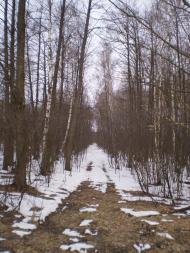 Радецька Болярка з panoramio.com