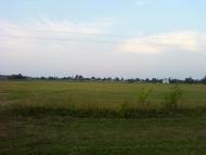 Рівнинне з panoramio.com