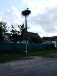 Кончаки з panoramio.com