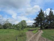 Самари-Оріхові з panoramio.com