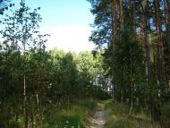 Богданівка з panoramio.com