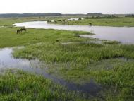 Люб'язь з panoramio.com