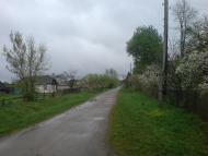 Єлівка з panoramio.com