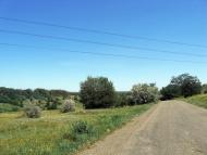 Любимівка з panoramio.com