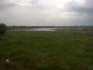 Павлівка з panoramio.com