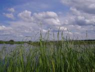 Гатна з panoramio.com