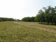 Княгинівка з panoramio.com