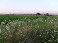 Чорний Острів з panoramio.com