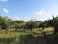 Попівка з panoramio.com