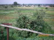 Кицівка з panoramio.com