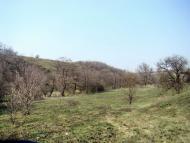 Ясенівський з panoramio.com