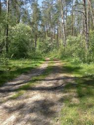 Собичеве з panoramio.com