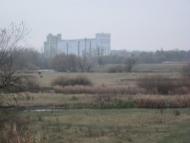 Сорока з panoramio.com