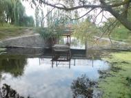 Саврань з panoramio.com