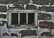 В'язівка з panoramio.com