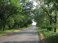 Дмитрівка з panoramio.com