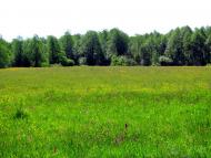 Оконськ з panoramio.com