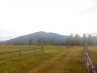 Пшеничники з panoramio.com