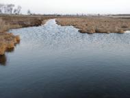 Новооріхівка з panoramio.com