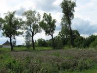 Дем'янці з panoramio.com - Demyantsi