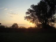 Комарове з panoramio.com