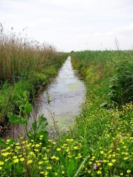 Колодруби з panoramio.com