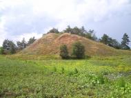 Сорока - Последние фото