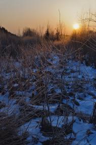 Глибівка з panoramio.com