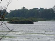 Аршичин з panoramio.com