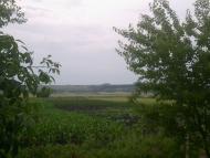 Лугове - Останні фото