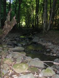 Зарічне з panoramio.com