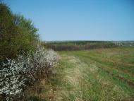 Вертіївка з panoramio.com