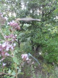 Перегоновка - Последние фото