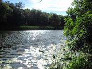 Романки з panoramio.com