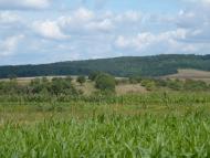 Романове Село з panoramio.com