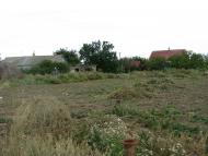 Софіївка з panoramio.com