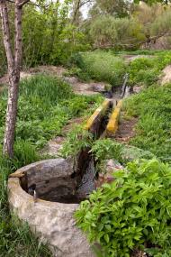 Борисів - Останні фото