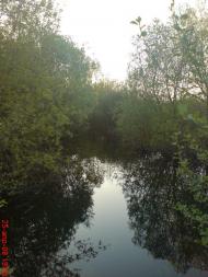 Піски з panoramio.com