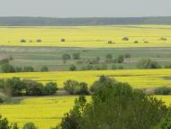 Веселе з panoramio.com