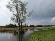 Тростянка з panoramio.com