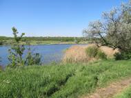 Михайлівка з panoramio.com