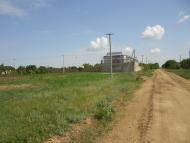 Музиківка з panoramio.com