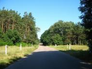 Залісся з panoramio.com