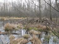 Рудня-Гацьківка з panoramio.com